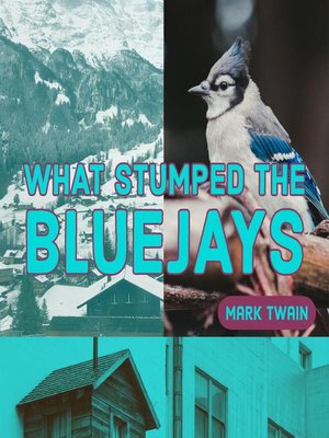 cover image of What Stumped the Blue Jays